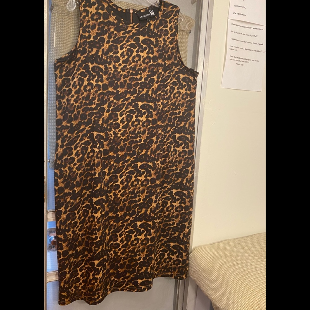 Ladies dress by Anthony